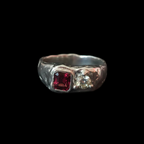 Duet Silver Ring | Garnet & Lemon Topaz 2222-7